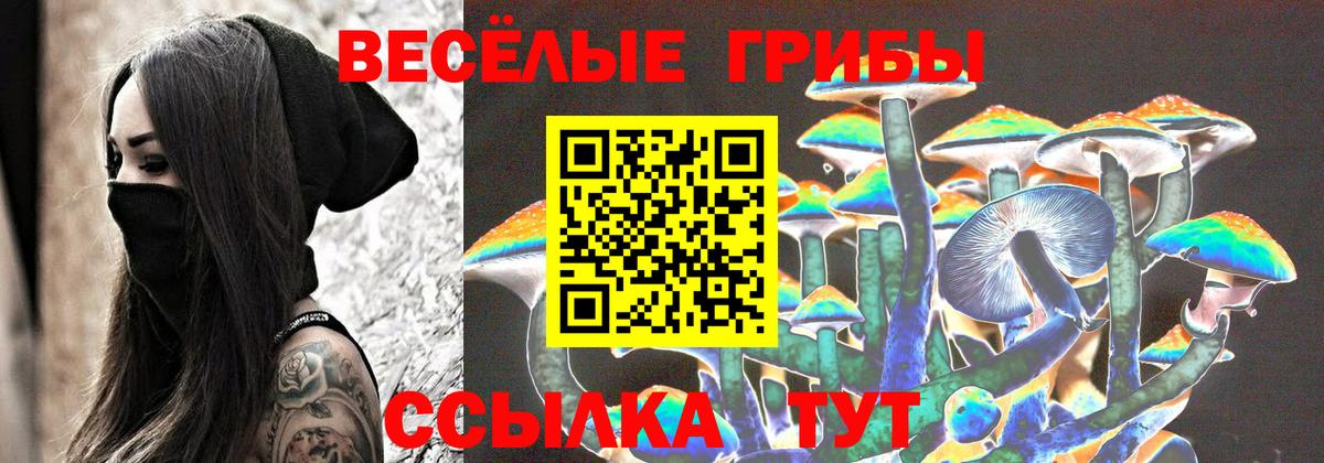 Галлюциногенные грибы Magic Shrooms Мценск